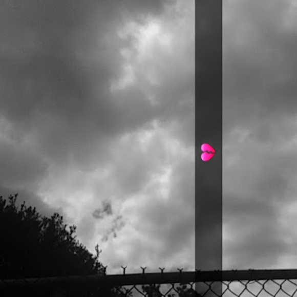 Meet your Posher, Annie - Picture 1 of 1